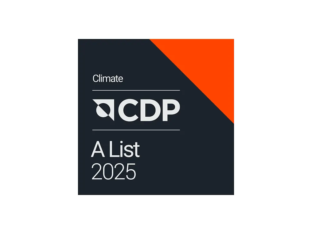 CDP 2025 Assessment Logo